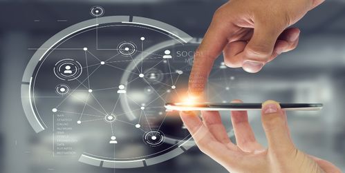 葉小梵淺談共享農莊發展前景